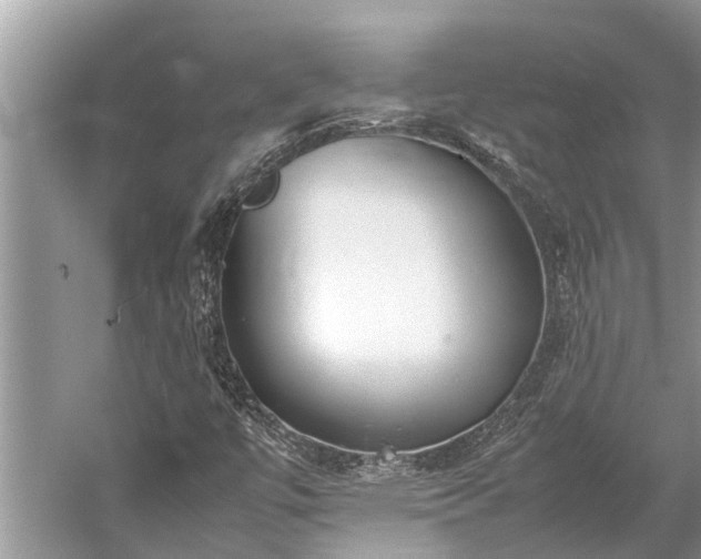 X0000059811447200510241343