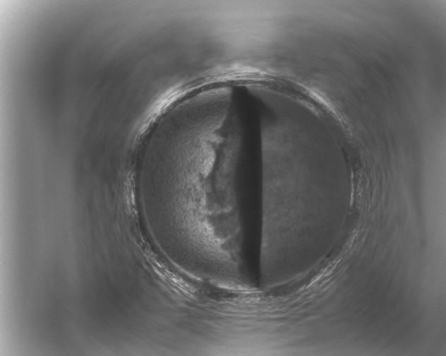 X0000059811455200510241343