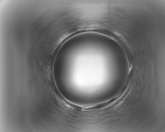 X0000059811457200510241343