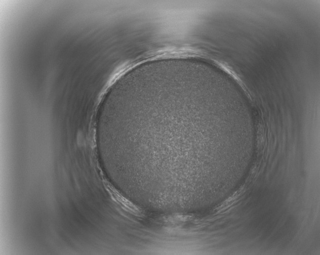 X0000059811459200510241343