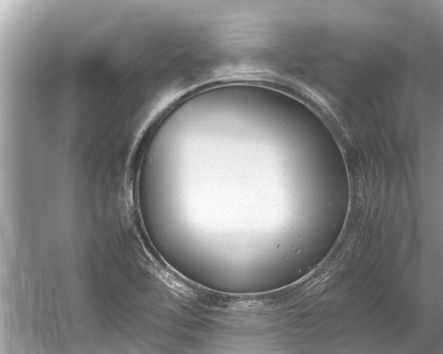 X0000059811462200510241343