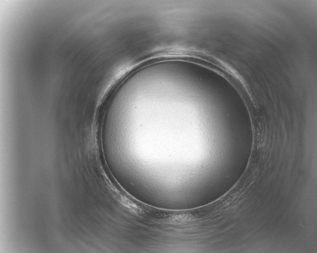 X0000059811464200510241343