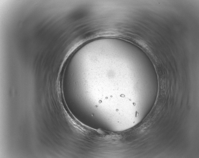 X0000059811466200510241343