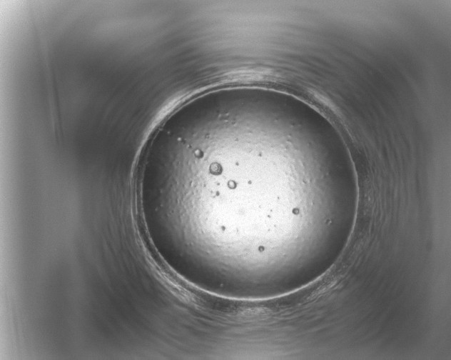 X0000059811467200510241343