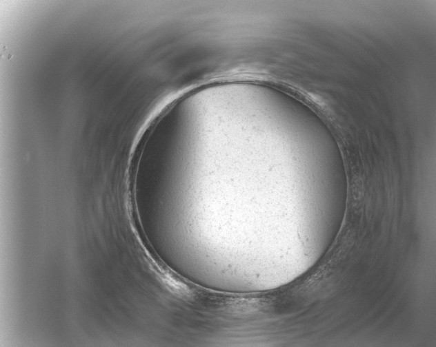 X0000059811470200510241343