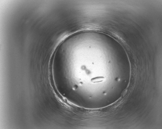 X0000059811471200510241343