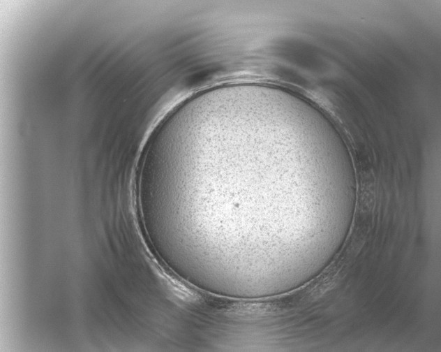 X0000059811474200510241342