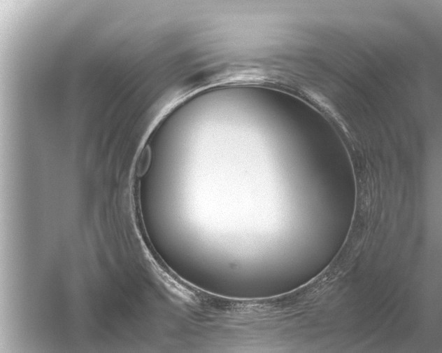 X0000059811475200510241342