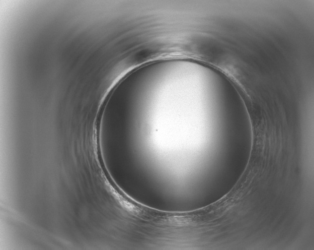 X0000059811476200510241342