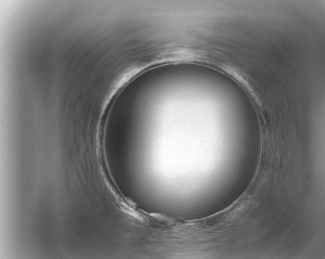 X0000059811477200510241342