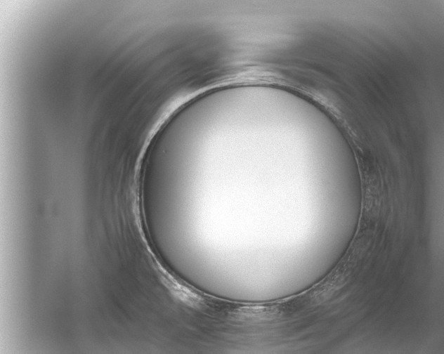 X0000059811478200510241342