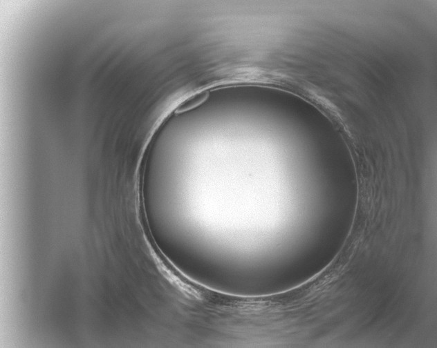 X0000059811479200510241342