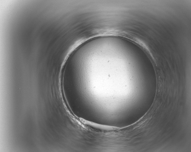 X0000059811480200510241342