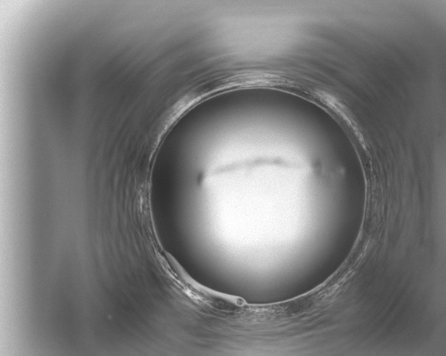 X0000059811481200510241342