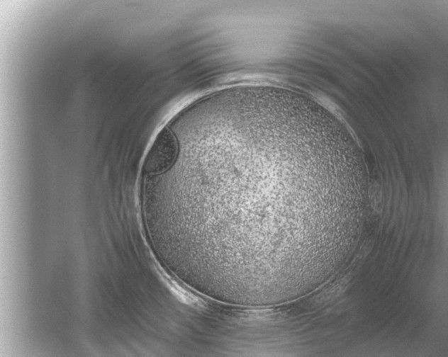 X0000059811482200510241342