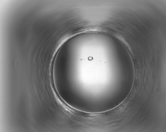 X0000059811483200510241342