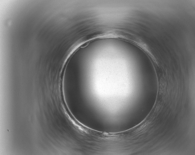 X0000059811484200510241342