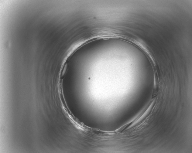 X0000059811485200510241342