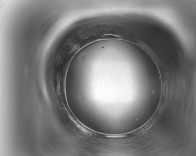 X0000059811487200510241342