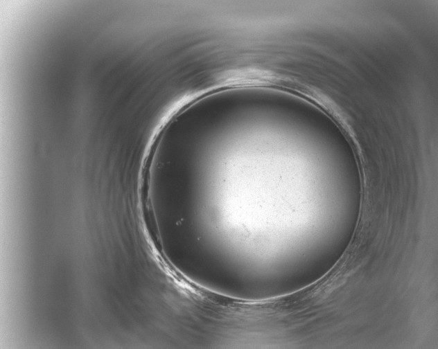 X0000059811488200510241342