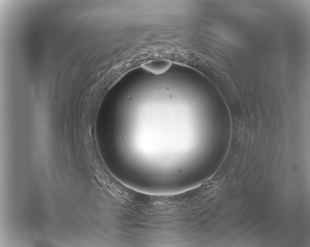 X0000059811489200510241341