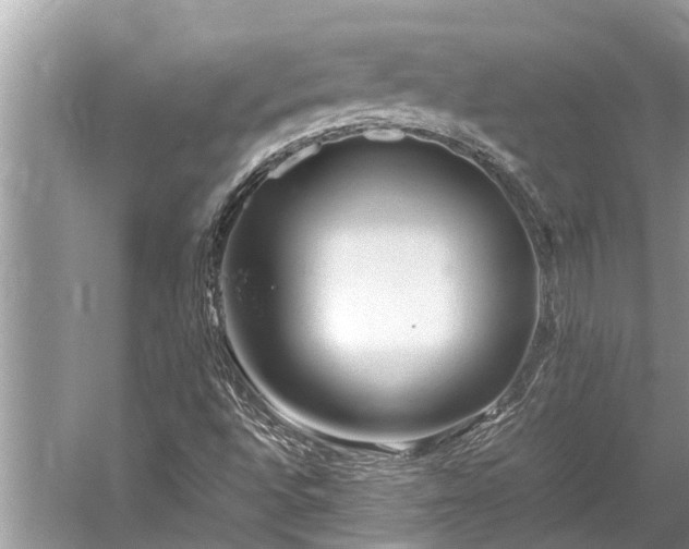 X0000059811496200510241342