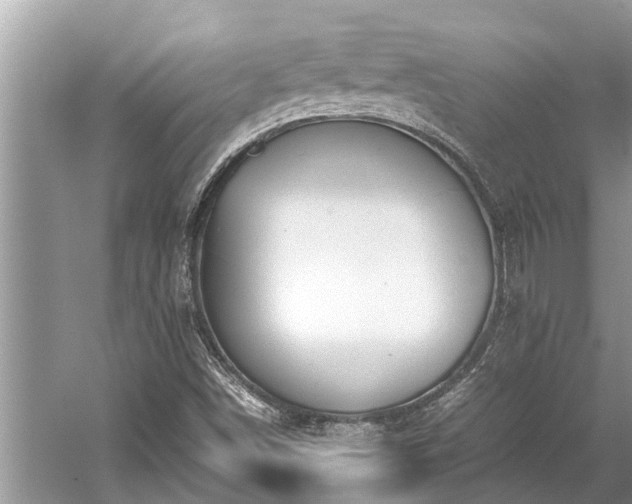 X0000059811498200510241342