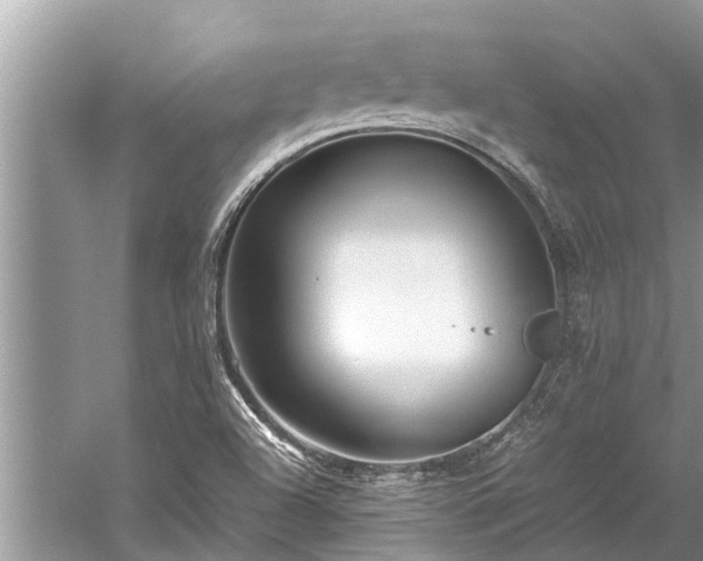 X0000059811504200510241342