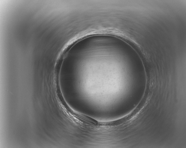 X0000059811506200510241342