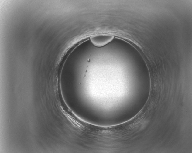 X0000059811507200510241342