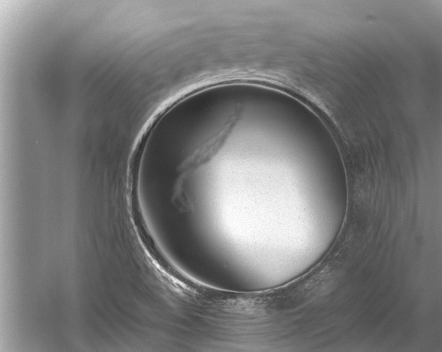 X0000059811508200510241342