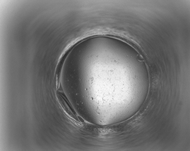 X0000059811509200510241342