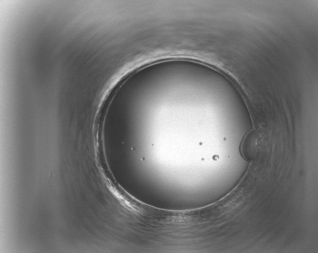 X0000059811511200510241342