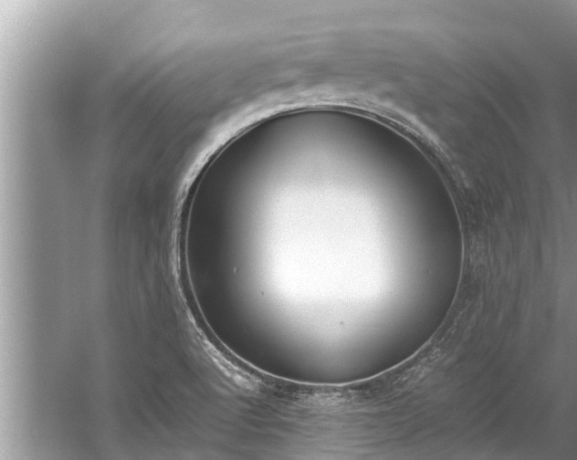 X0000059811512200510241342