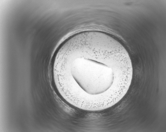 X0000059811514200510241342