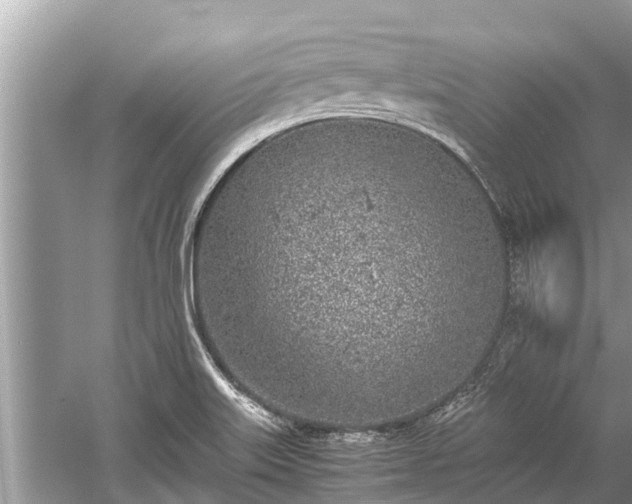 X0000059811515200510241342