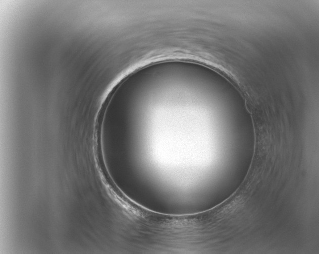 X0000059811518200510241342