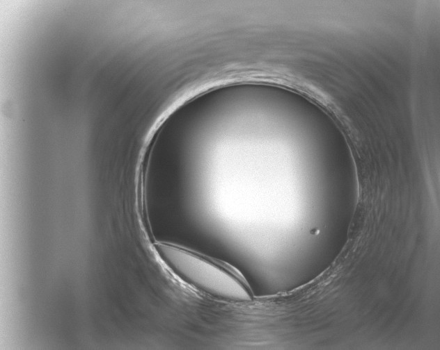 X0000059811520200510241342