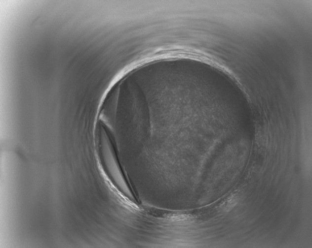 X0000059811522200510241342