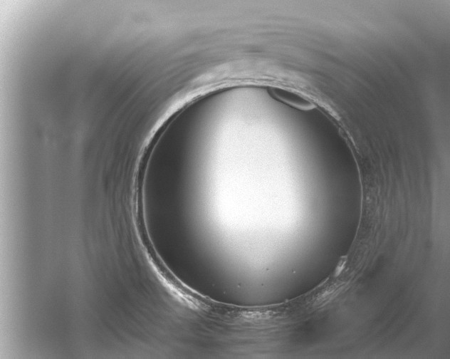 X0000059811523200510241342