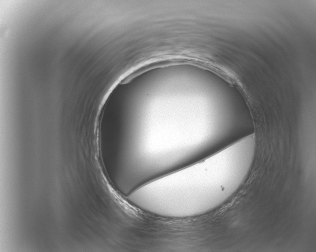 X0000059811524200510241342