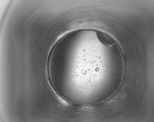 X0000059811525200510241342