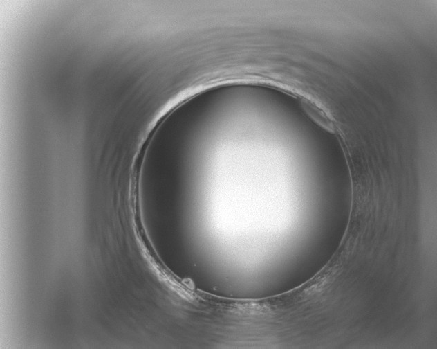 X0000059811526200510241342