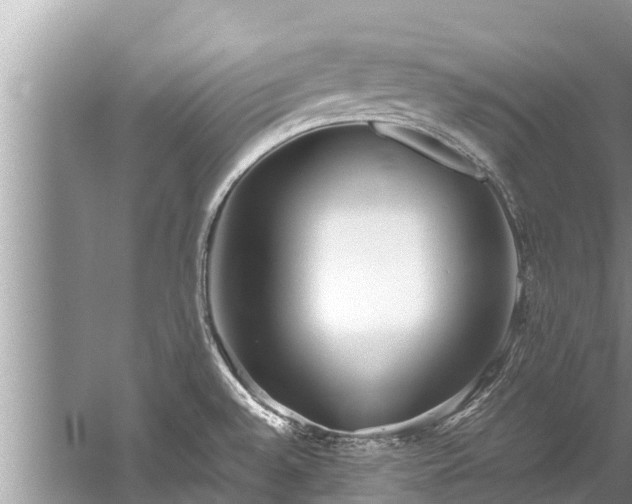 X0000059811528200510241342