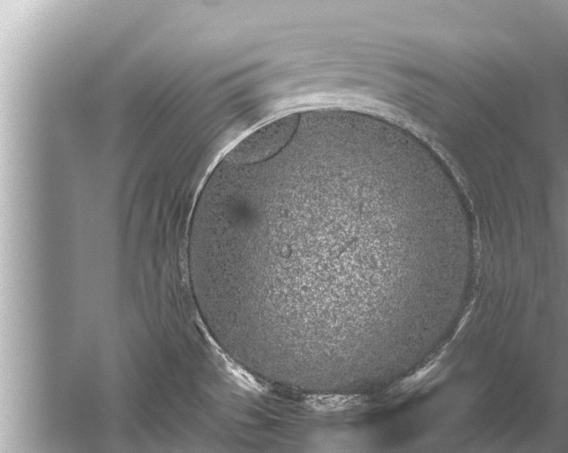 X0000059811529200510241342