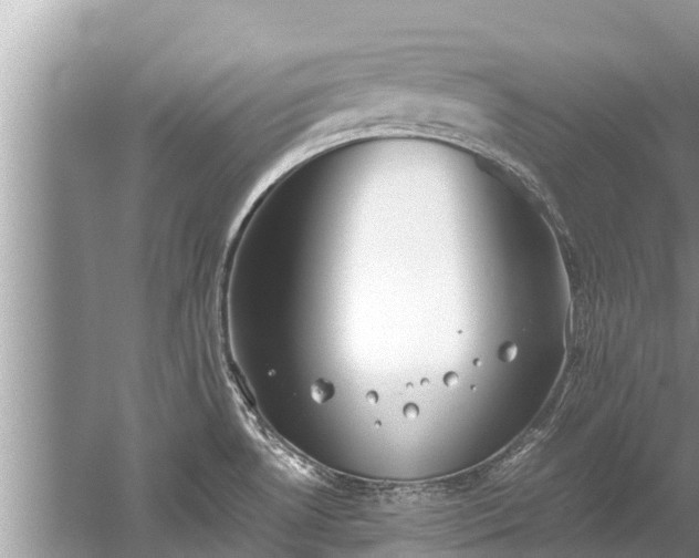 X0000059811530200510241342