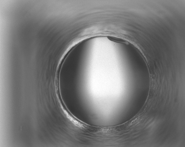 X0000059811531200510241342