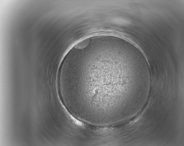 X0000059811533200510241342