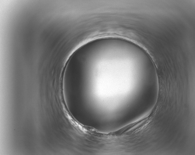 X0000059811534200510241342