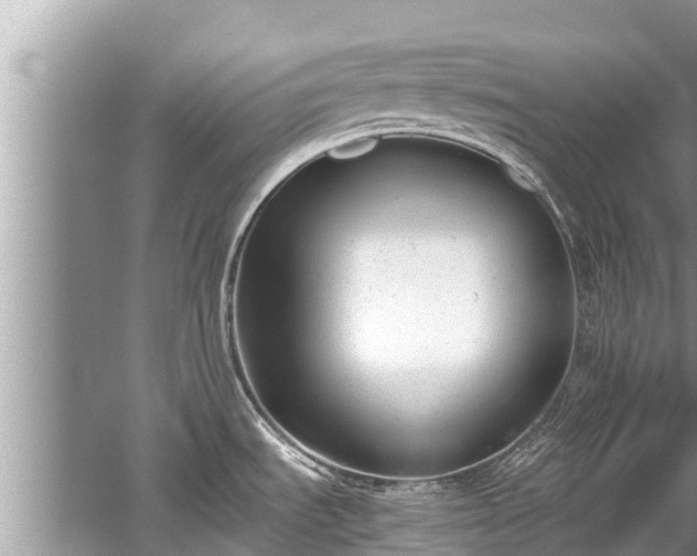 X0000059811535200510241342